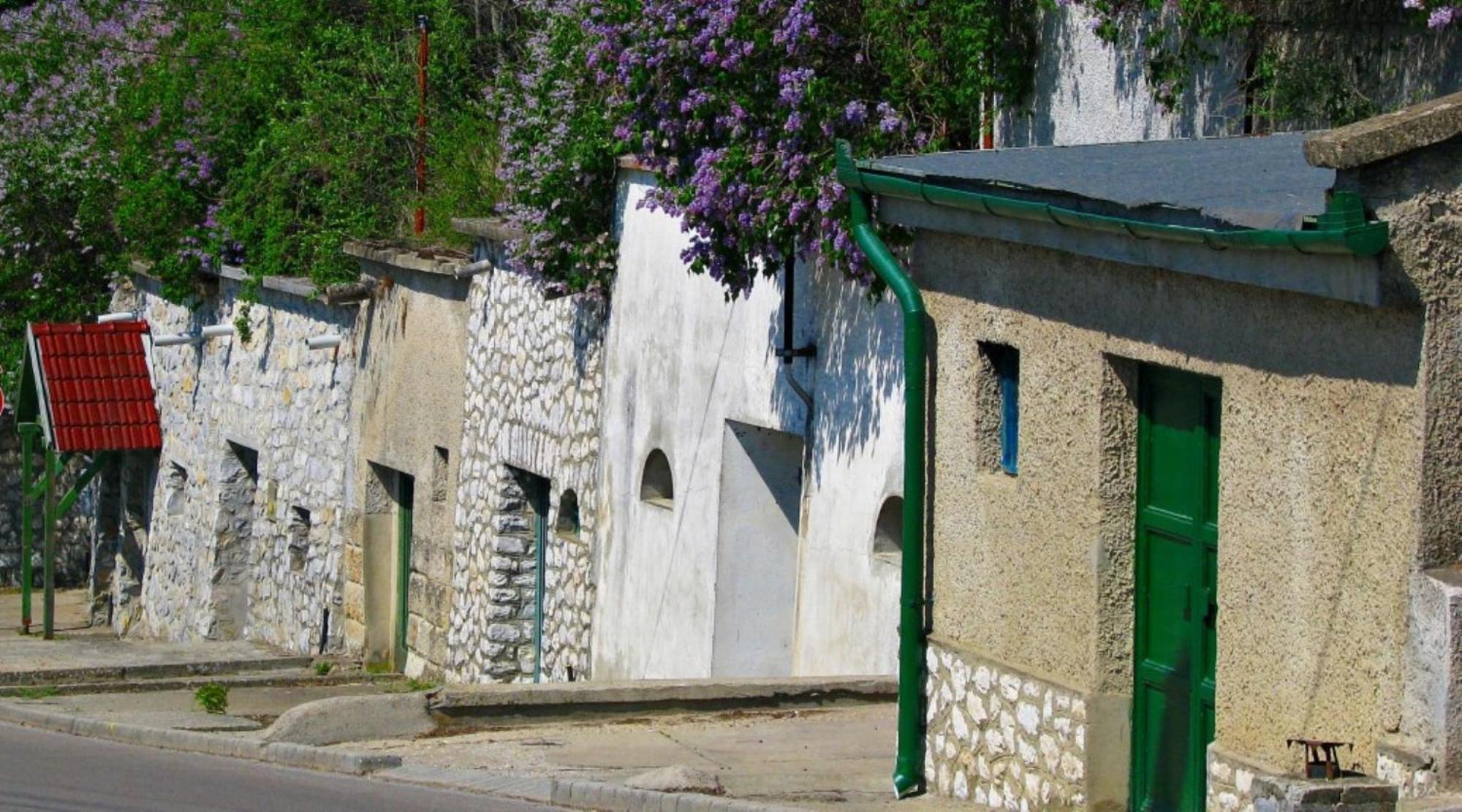Bed and Breakfast Fenyo Panzio Mezőkövesd Esterno foto